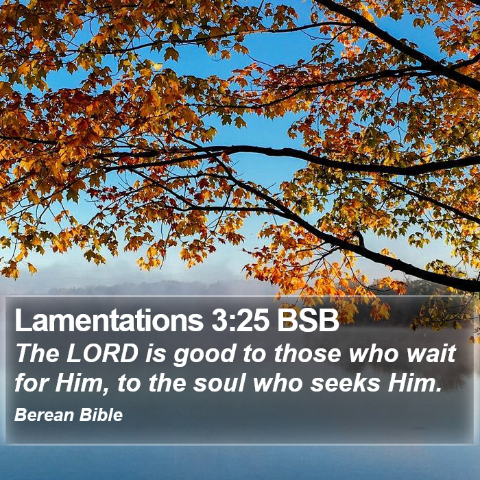 Lamentations 3:25 BSB Bible Study