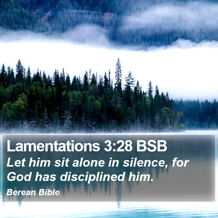 Lamentations 3:28 BSB Bible Study