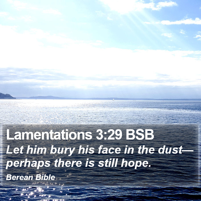 Lamentations 3:29 BSB Bible Study