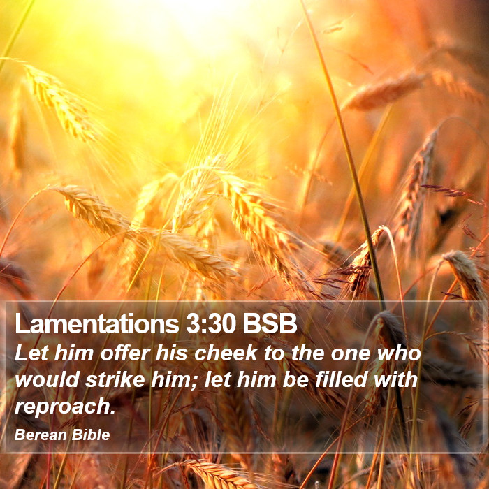 Lamentations 3:30 BSB Bible Study