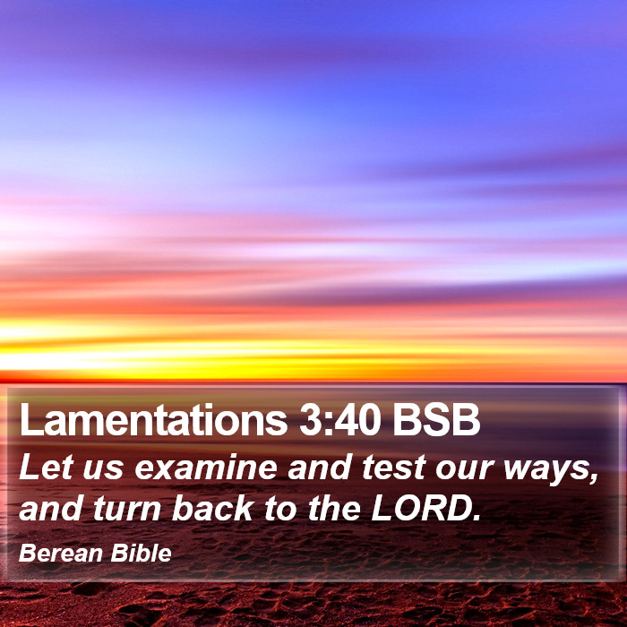 Lamentations 3:40 BSB Bible Study