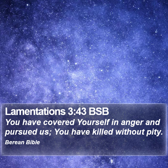 Lamentations 3:43 BSB Bible Study