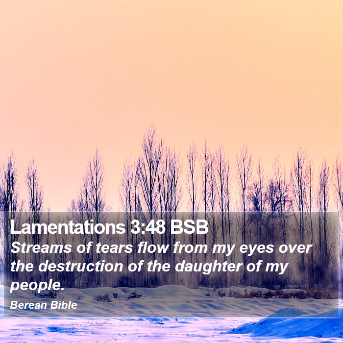 Lamentations 3:48 BSB Bible Study