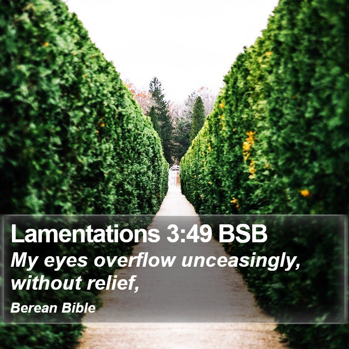 Lamentations 3:49 BSB Bible Study