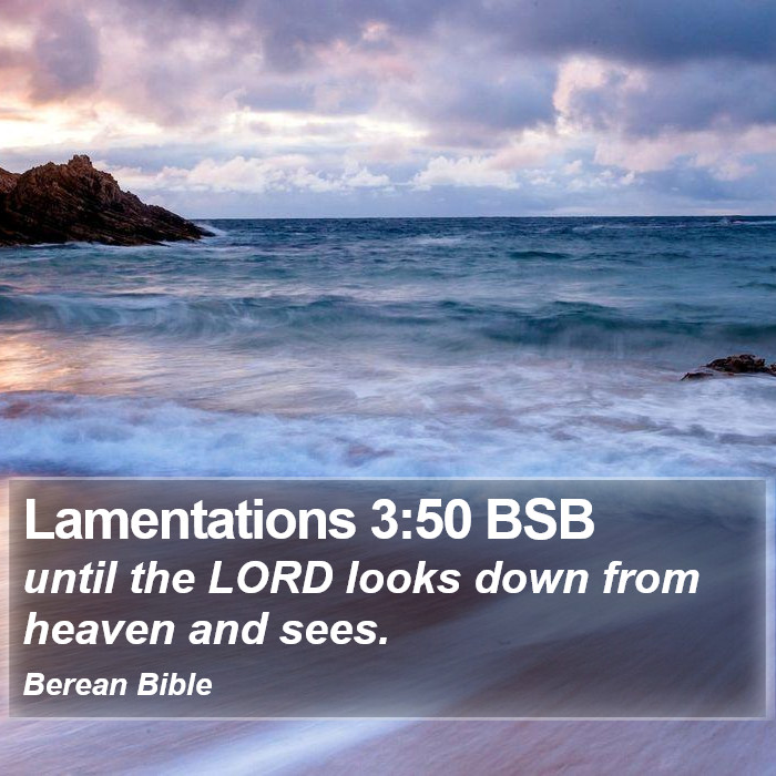 Lamentations 3:50 BSB Bible Study