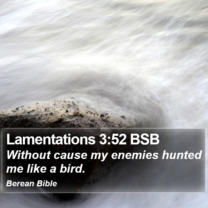 Lamentations 3:52 BSB Bible Study