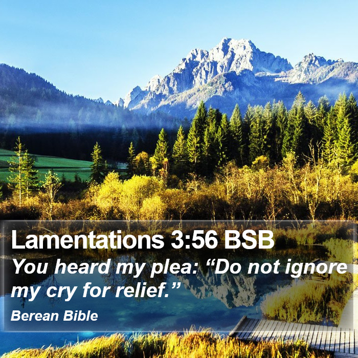 Lamentations 3:56 BSB Bible Study