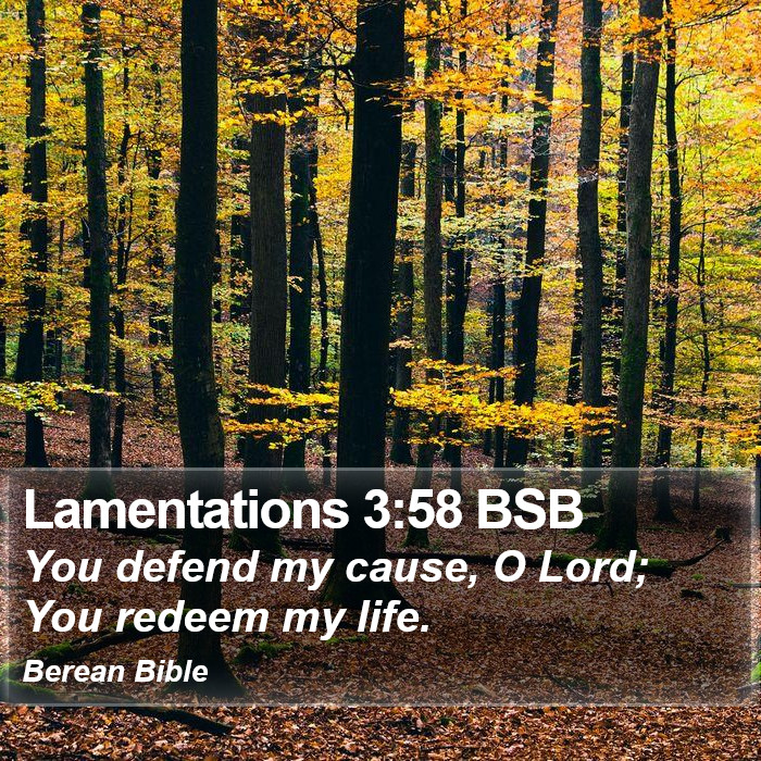 Lamentations 3:58 BSB Bible Study