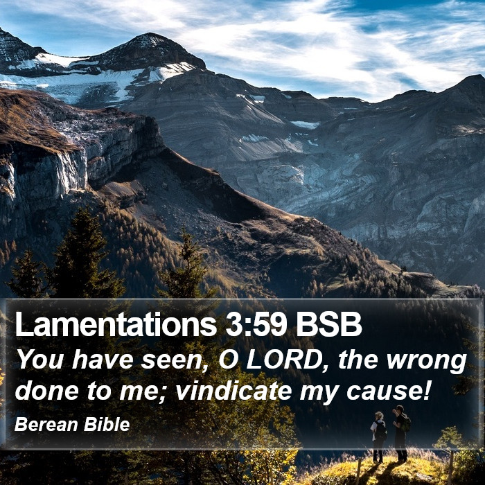 Lamentations 3:59 BSB Bible Study