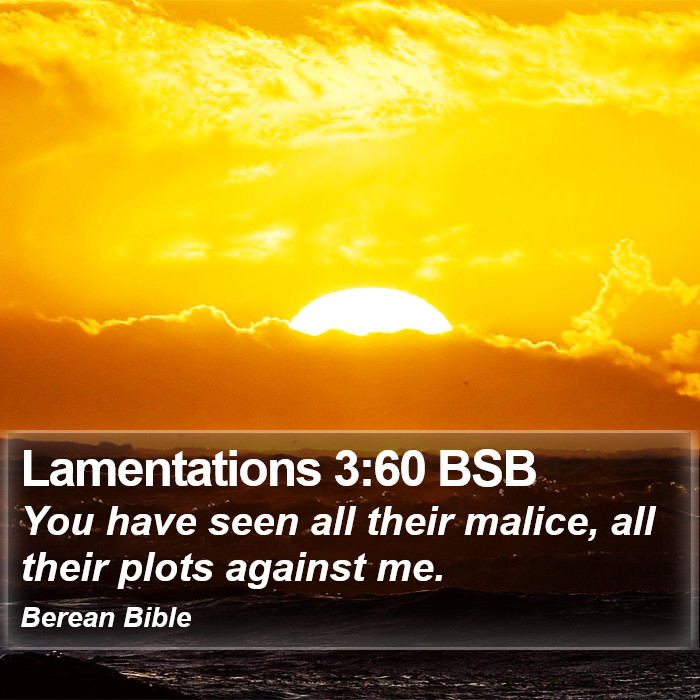 Lamentations 3:60 BSB Bible Study