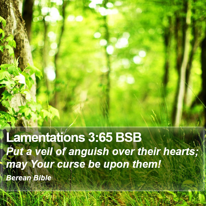 Lamentations 3:65 BSB Bible Study