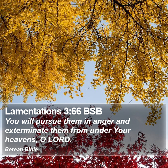 Lamentations 3:66 BSB Bible Study