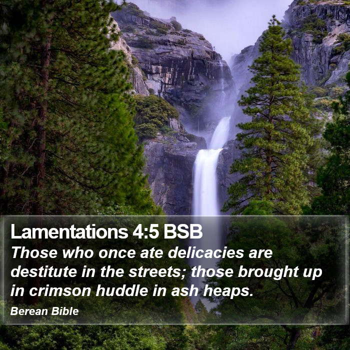 Lamentations 4:5 BSB Bible Study