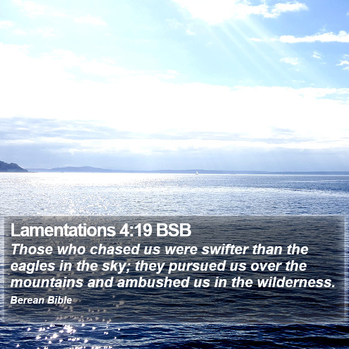 Lamentations 4:19 BSB Bible Study