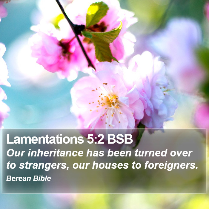 Lamentations 5:2 BSB Bible Study