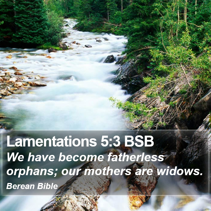 Lamentations 5:3 BSB Bible Study