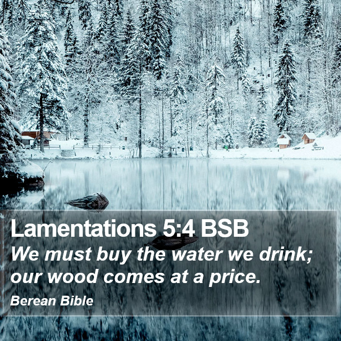 Lamentations 5:4 BSB Bible Study