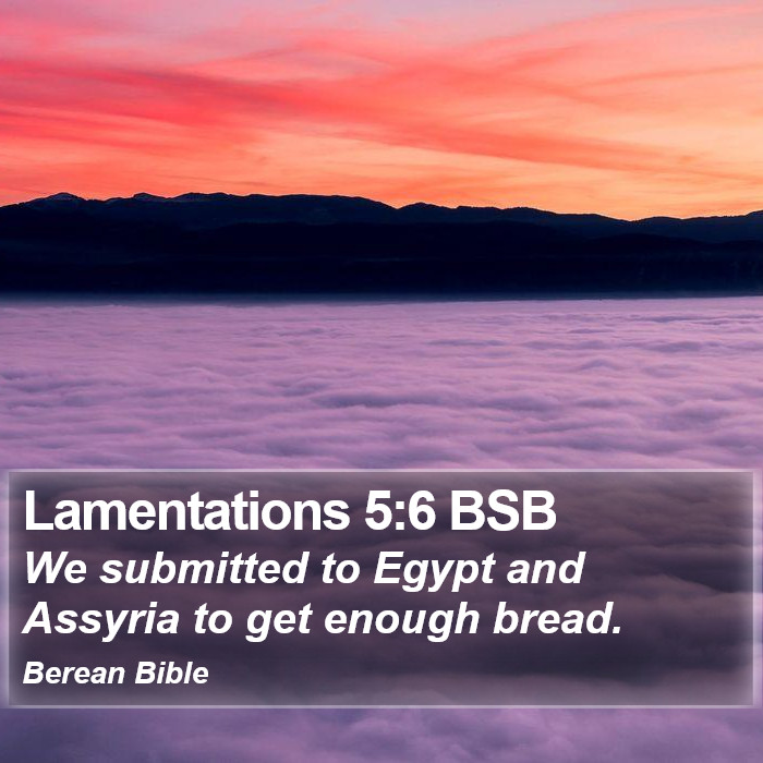 Lamentations 5:6 BSB Bible Study