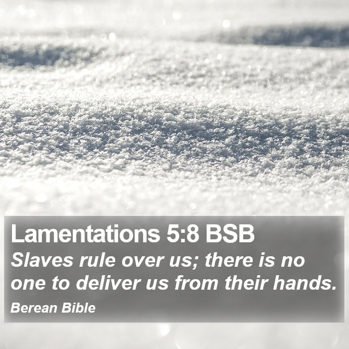 Lamentations 5:8 BSB Bible Study