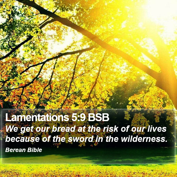 Lamentations 5:9 BSB Bible Study