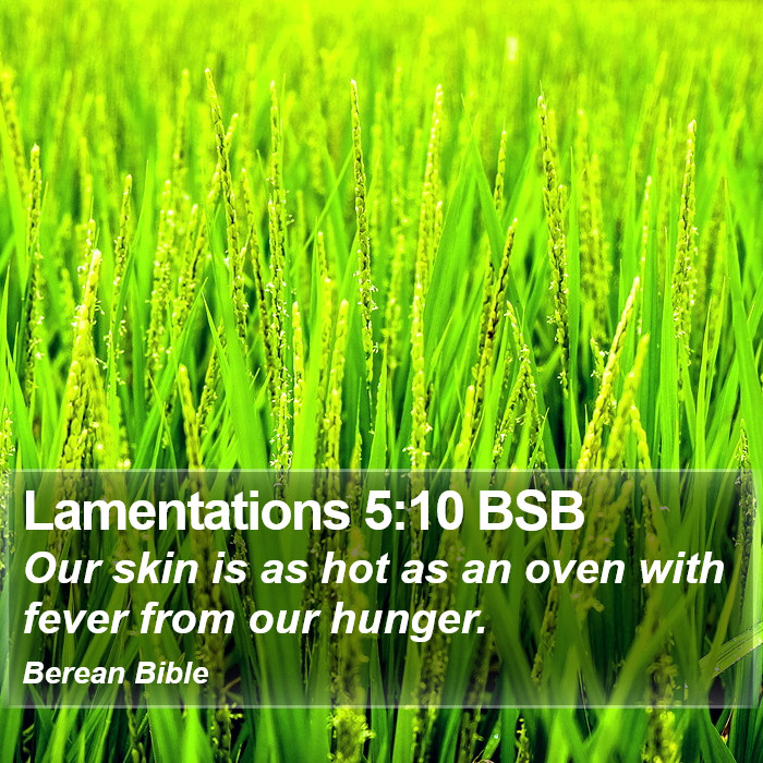 Lamentations 5:10 BSB Bible Study