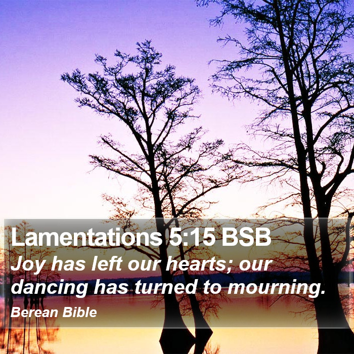 Lamentations 5:15 BSB Bible Study