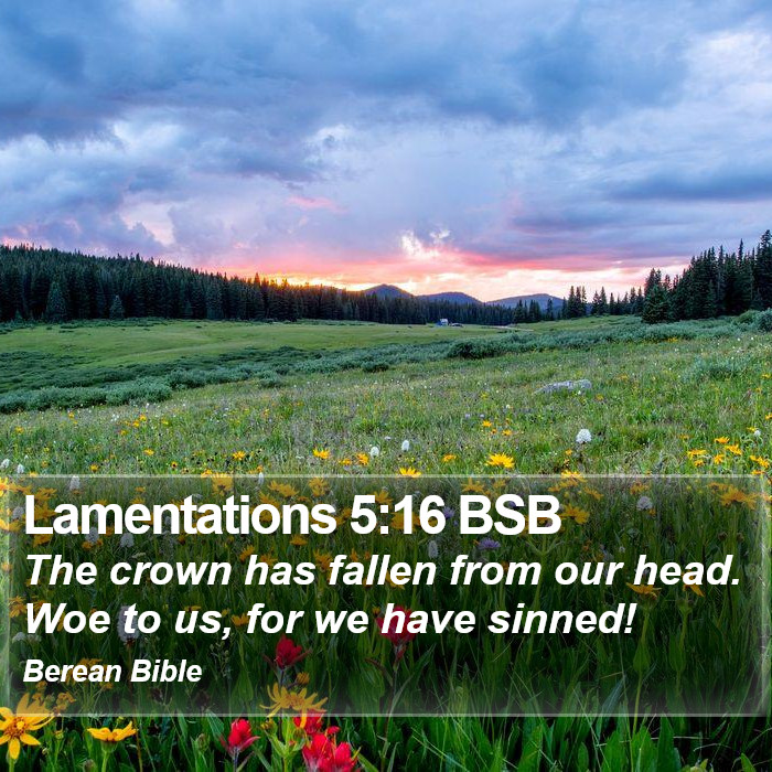 Lamentations 5:16 BSB Bible Study