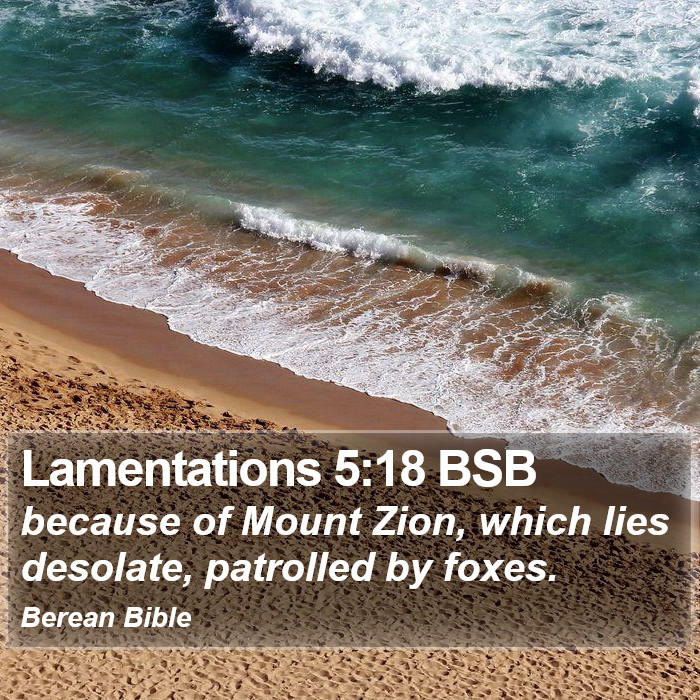 Lamentations 5:18 BSB Bible Study