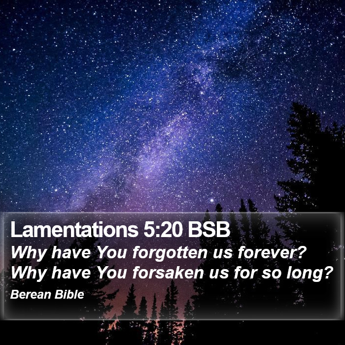 Lamentations 5:20 BSB Bible Study