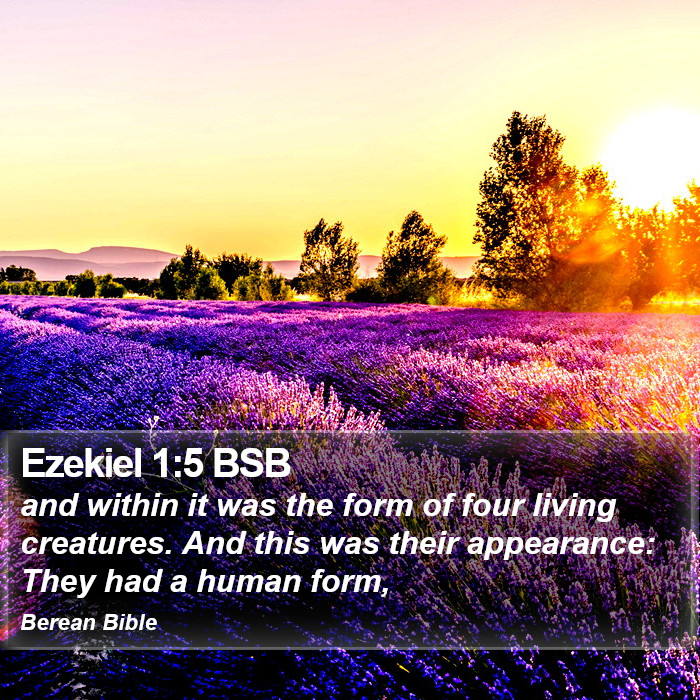 Ezekiel 1:5 BSB Bible Study