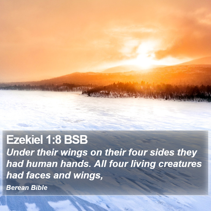 Ezekiel 1:8 BSB Bible Study