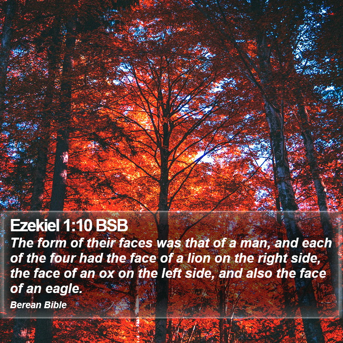 Ezekiel 1:10 BSB Bible Study