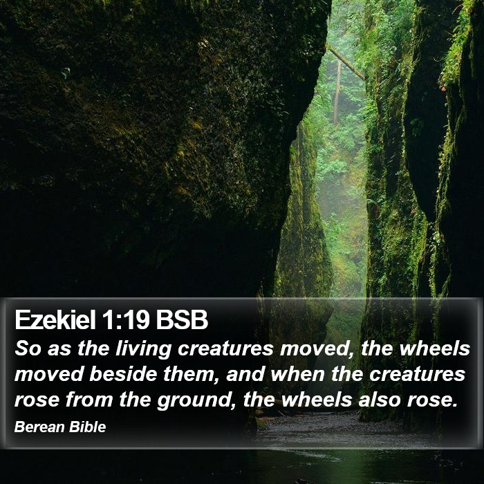 Ezekiel 1:19 BSB Bible Study