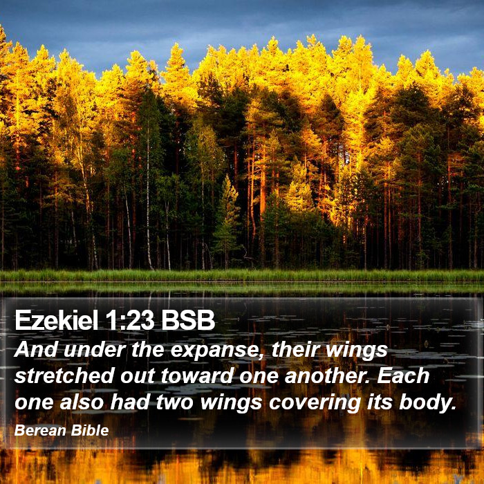 Ezekiel 1:23 BSB Bible Study