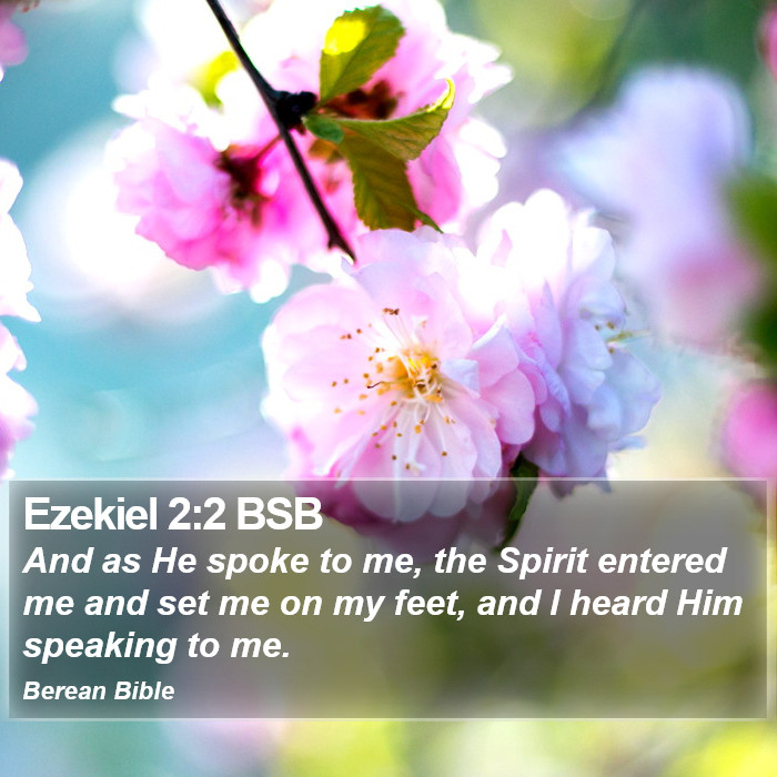 Ezekiel 2:2 BSB Bible Study