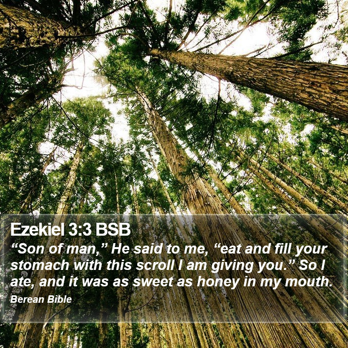 Ezekiel 3:3 BSB Bible Study