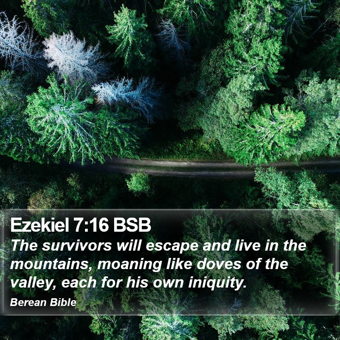 Ezekiel 7:16 BSB Bible Study