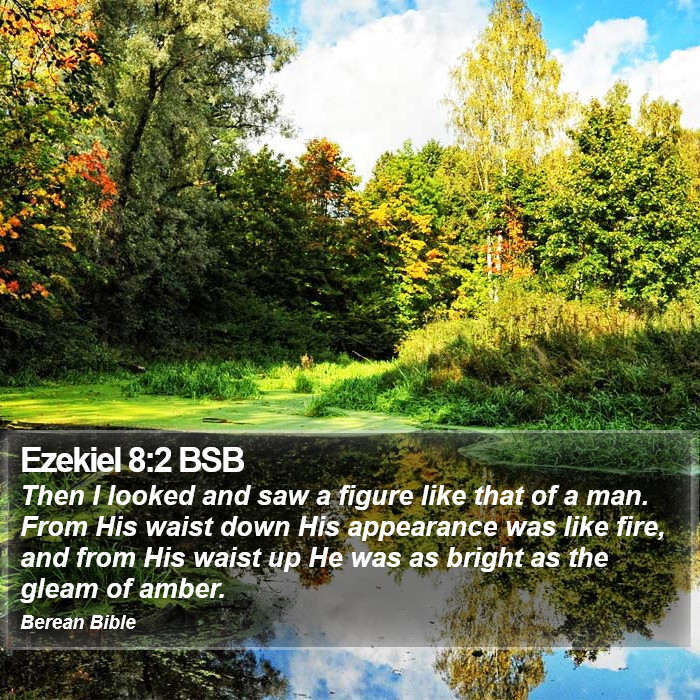 Ezekiel 8:2 BSB Bible Study