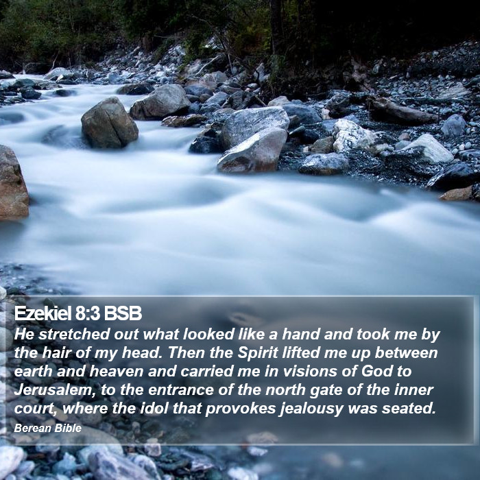 Ezekiel 8:3 BSB Bible Study