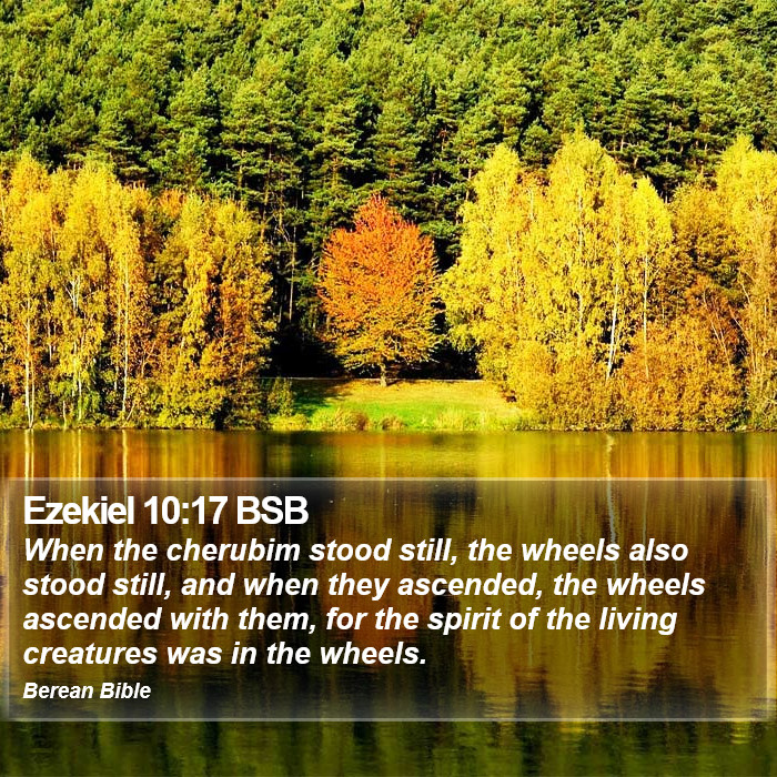 Ezekiel 10:17 BSB Bible Study