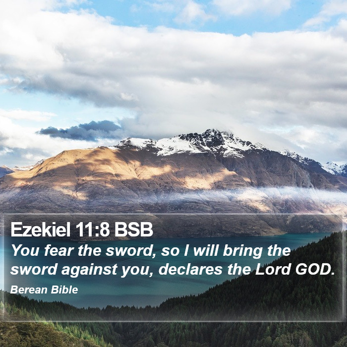 Ezekiel 11:8 BSB Bible Study