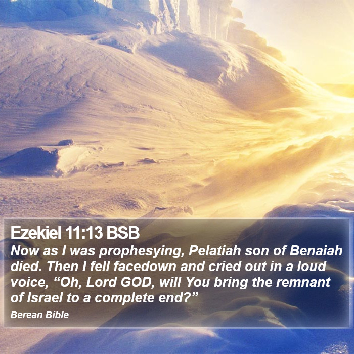 Ezekiel 11:13 BSB Bible Study