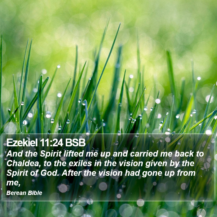 Ezekiel 11:24 BSB Bible Study