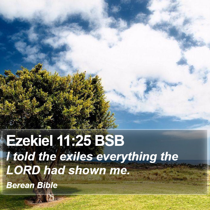 Ezekiel 11:25 BSB Bible Study