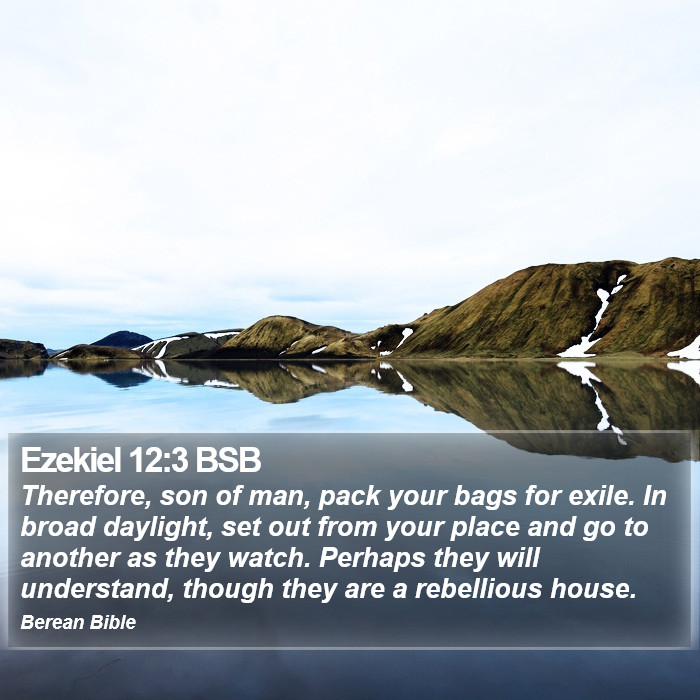 Ezekiel 12:3 BSB Bible Study