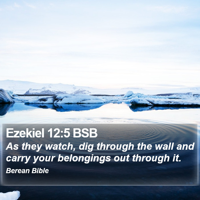 Ezekiel 12:5 BSB Bible Study