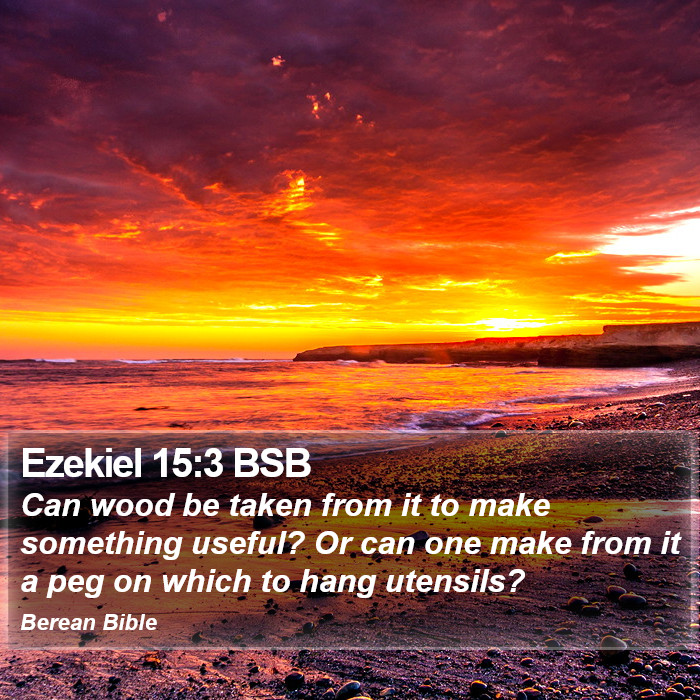 Ezekiel 15:3 BSB Bible Study