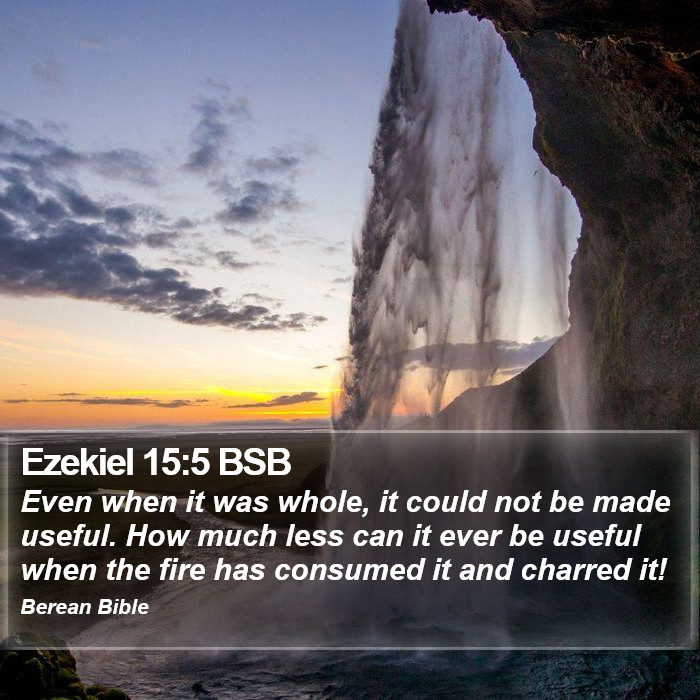 Ezekiel 15:5 BSB Bible Study