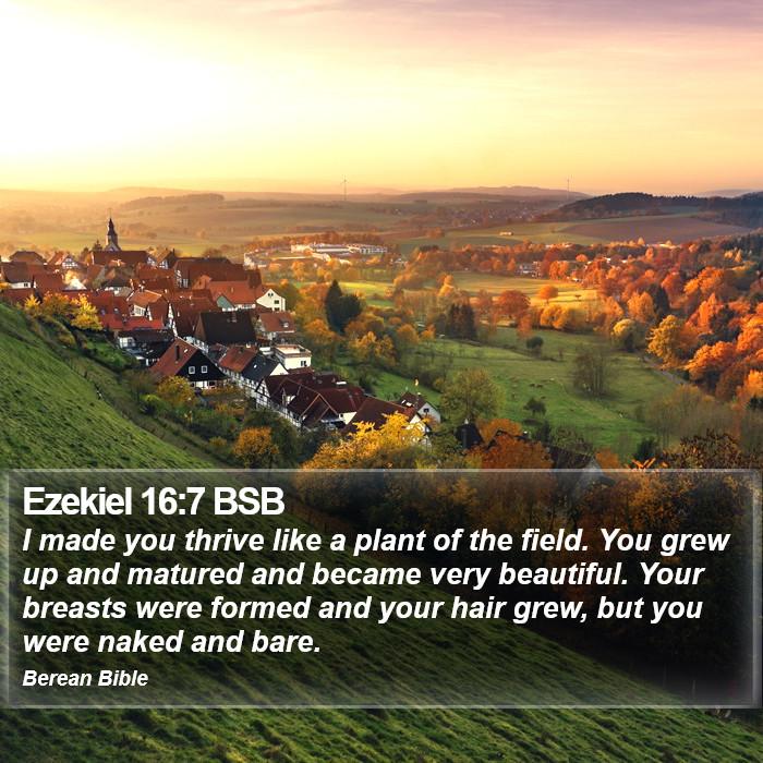 Ezekiel 16:7 BSB Bible Study