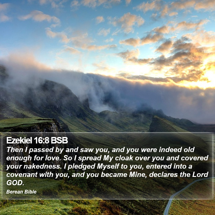 Ezekiel 16:8 BSB Bible Study